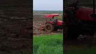 Solis 4wd Tractor #solis #tractor #tractorvideo