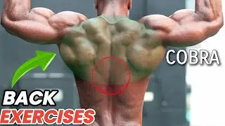 Best Back Cobra Exercises To Build Back Muscle | Back  Cobra Muscle