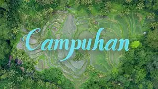 Sacred Campuhan River: Power Vortex Ubud, Bali