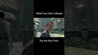 When You Enter Solitude for the First Time - #skyrimmemes #skyrimfunnymoments