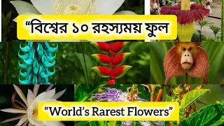 &ldquo;Ten mysterious flowers in the world!&rdquo; !Ten mysterious flowers in the world #plants #flowers #rar...
