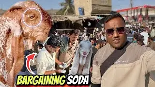 Orangi Town Bakra Mandi PHAT Gayi! 😱🐐 | 2026 Latest Rates | Full Bargaining Soday Hi Soday 💸🔥