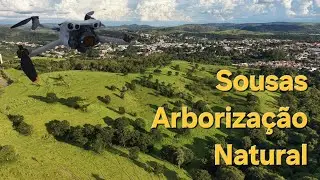 Arborização Natural de Sousas | Imagens Aéreas Incríveis