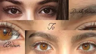 ✨ HONEY BROWN EYES TRANSFORMATION SUBLIMINAL ✨