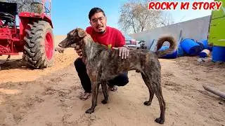Rocky Ko Hum Kaha Se Laaye? *FULL STORY*