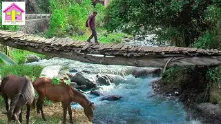 CAMINO A LA CIÉNAGA MANABAO LA VIDA DEL CAMPO