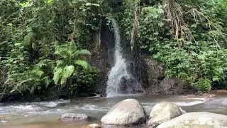 Calming Forest Ambience, water Sounds original, ASMR work focus, beautiful stream sounds