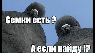 игра общения критика