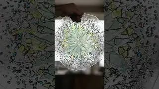 Fusing glass to make a Forget Me Not bowl. #flowerart #glassartist #glassart #fusedglass
