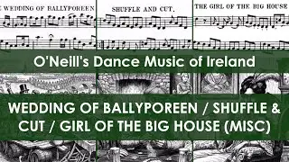 DMOI996-998 Wedding of Ballyporeen/Shuffle and Cut/Girl of the Big House (Misc on Irish tenor banjo)