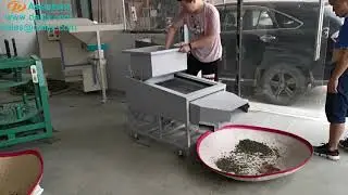 Tea Screen Sorting Process And Grading Machine Of Linear Tea