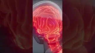 Brain On Fire: The Science Behind Attraction!
