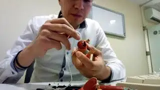 Heman, cambio de ligas
