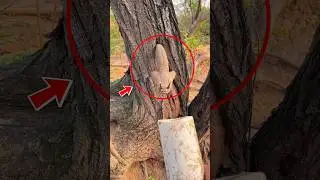🤯 snake in 