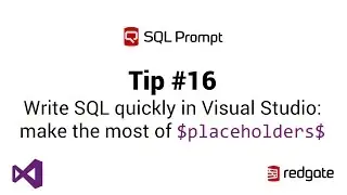 SQL Prompt Pro в Visual Studio &mdash; использование заполнителей
