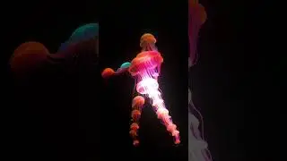 Techno Jellyfish 01