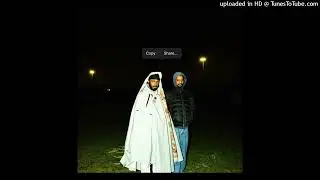 [free] jpegmafia & danny brown type beat 