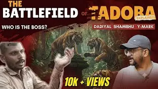 Tadoba Safari thrill🥶 | Son of MAYA | 3 Tigers fight for dominance😱 | Battlefield explained by guide