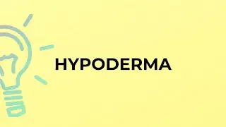What is the meaning of the word HYPODERMA?