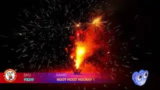 Hoot Hoot Hooray