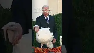 Thanksgiving Turkey Pardon By Pres. Biden