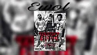 D.e Ewol Hoolie33  Mula Cut  ( Ybn Almighty Jay Diss )