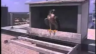 2011 Topeka Falcon Cam-August 6, 2011 @ 1535 hrs EST.
