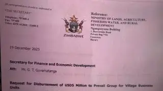 Tungwarara's Prevail Group Company looted US$5 million for the month of December.