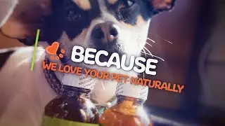 NHV Natural Pet Products: We love your pets!