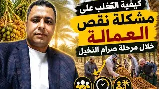 كيفية التغلب علي مشكلة نقص العمالة خلال مرحلة صرام النخيل