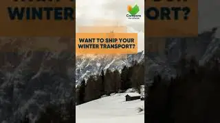 ❄️🏔Winter Transportation🏔❄️