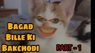 BAKCHOD BILLA | Part - 1 | Funny Cats Video | Hindi Dubbing