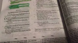 Psalm 8 