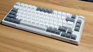 Royal Kludge RK H81 - The best Stock keyboard.