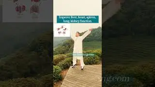 One movement exercise five internal organs.