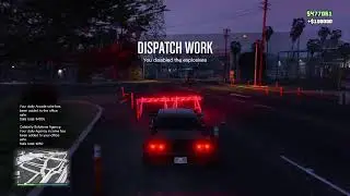 GTA Animal Photography And Dispatch Work