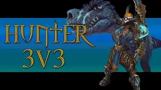 Marksmanship Hunter 3v3 Arena #8