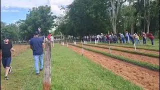 16 de noviembre de 2025