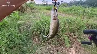 ‼️💥 SEAHUNTER TURBO MAX langsung amis pake lure 4 gram 😍‼️