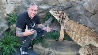 BUILDING A $6000 REPTILE HABITAT!! | BRIAN BARCZYK