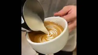 Wing Tulip latte art
