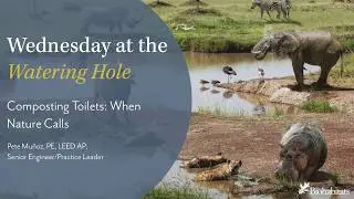 Composting Toilets: When Nature Calls