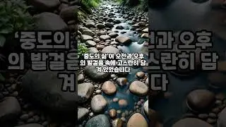 1분 깨달음: 부처님의 하루#Buddhism#Zen Wisdom#SpiritualAwakening#Karma#ZenPhilosophy