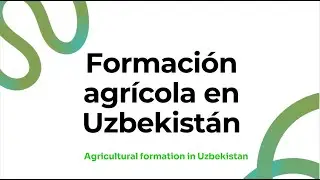 Contamos nuestra experiencia de formación en Uzbekistán (En)