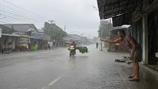 Monsoon Rain in Borneo ⛈️ Nature Ambience Sounds for Meditation