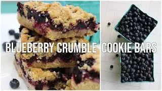 Blueberry Crumble Cookie Bars