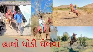 હાલો ધોડી ખેલવા #horseriding #horse #kathiyavadihorse #trending #blog