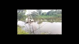 Amazing Net Fishing || Fishing BD Official || World Fishing || Traditional Fishing || BD Fishing