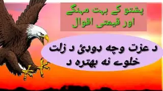 Best motivational quotes in pashto// Top quotes in pashto