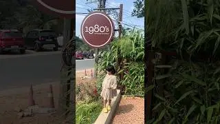 Wayanad 1980&rsquo;s a nostalgic restaurant at Kalpetta #food #shortvideo #foodclips #shorts #travel